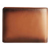 ROBERT RFID Protected Leather Wallet for Men