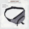 BRAMPTON Waist Bag for Men Women