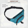 BRAMPTON Waist Bag for Men Women