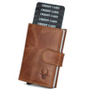 ARNOLD RFID Protected Leather Card Holder for Men